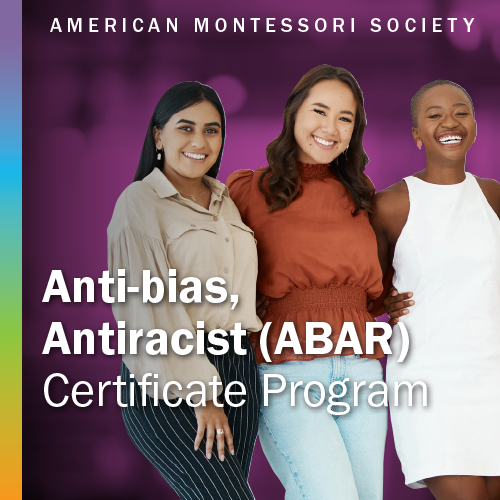 Anti-Bias, Antiracist Certification Course